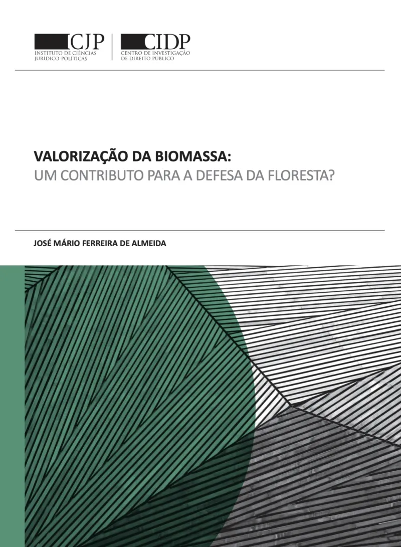 Valorização da biomassa: um contributo para a defesa da floresta?